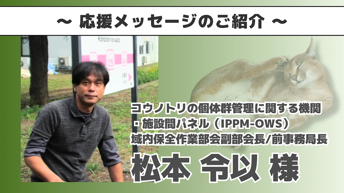 松本令以様よりいただいた応援メッセージのご紹介