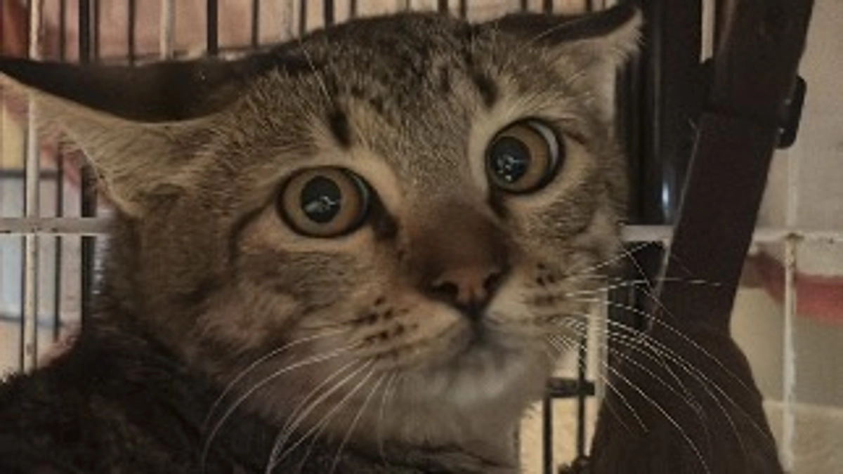 クラウドファンディングスタートしました!!