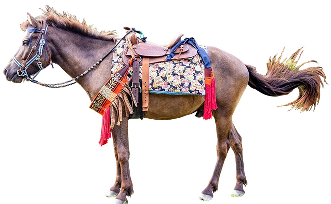 マンスリー3,000円/月