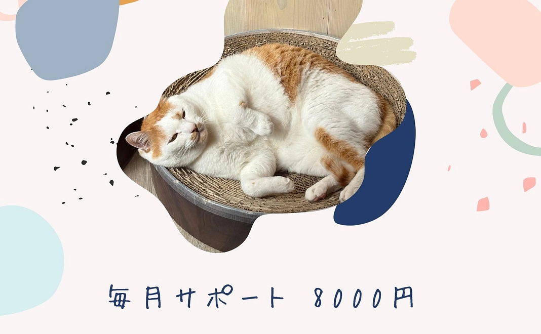 毎月サポート8000円