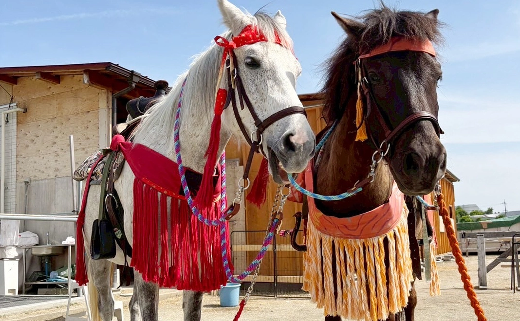 マンスリーサポート10,000円