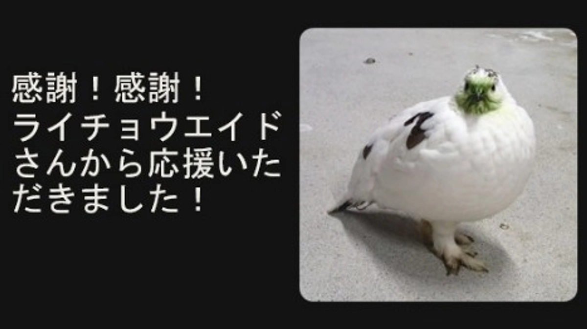 感謝！ライチョウエイドさんから応援いただきました！