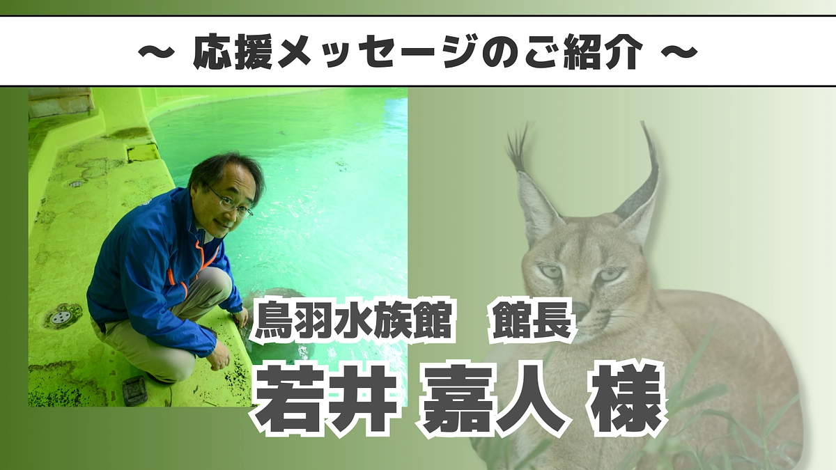 鳥羽水族館 館長若井様よりいただいた応援メッセージのご紹介