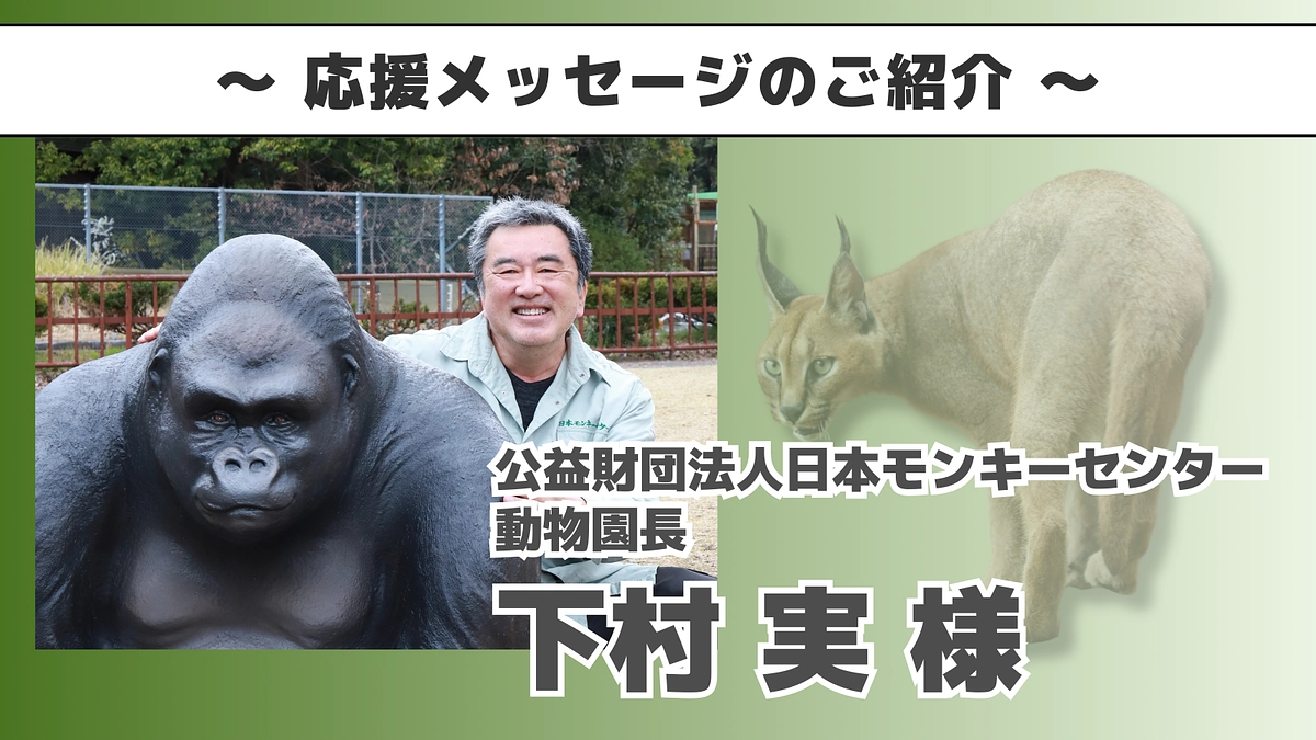 モンキーセンター動物園長 下村様よりいただいた応援メッセージのご紹介