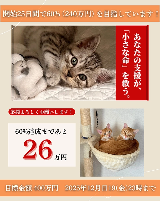 ご支援、応援をいただいております全ての皆さまへ