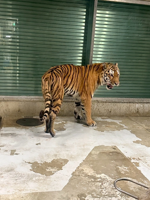 クラファンの応援コメントをいただきました【ごかつら池どうぶつパークさまより】