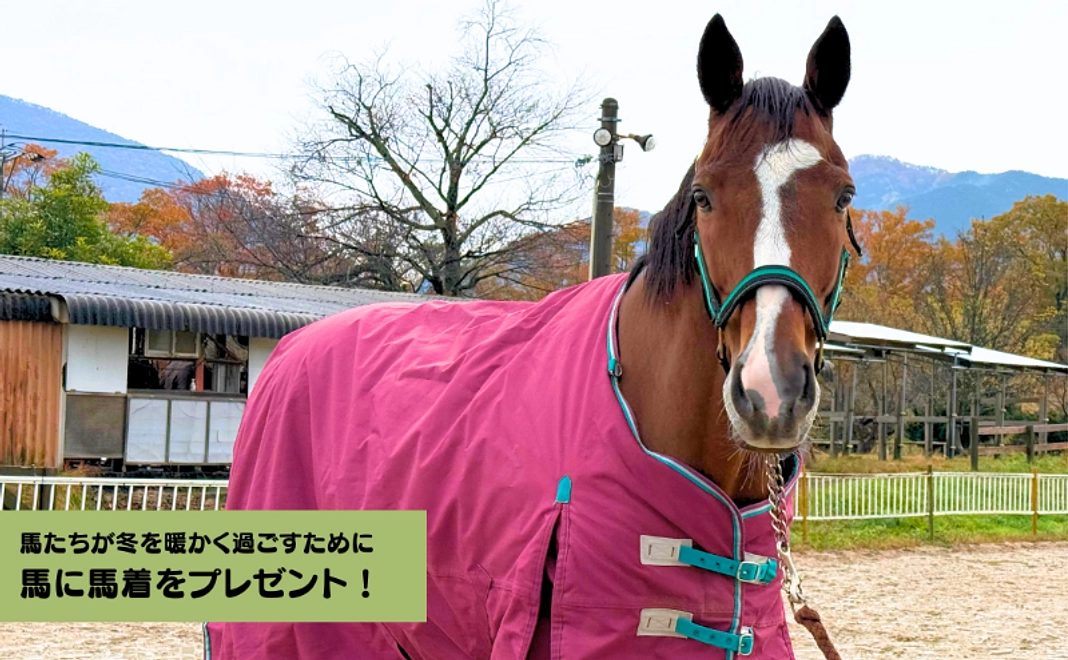 【馬たちが冬を暖かく過ごすために】馬に馬着をプレゼント