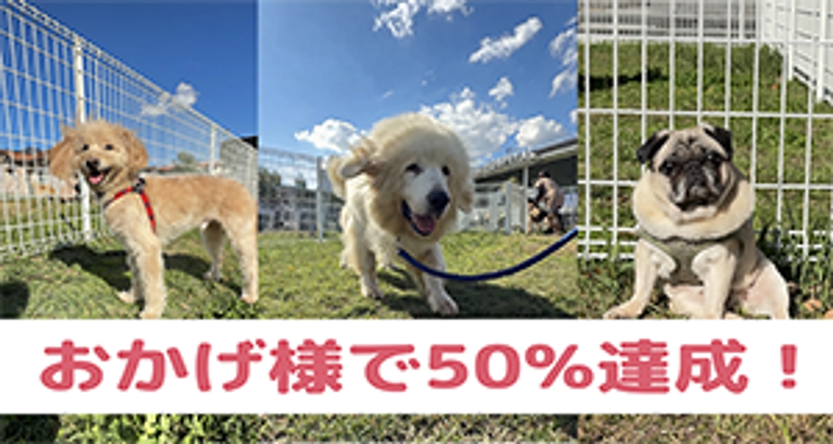 目標金額の50%達成しました！！