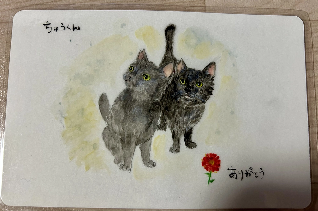 クラウドファンディング　支出現状ご報告🐱