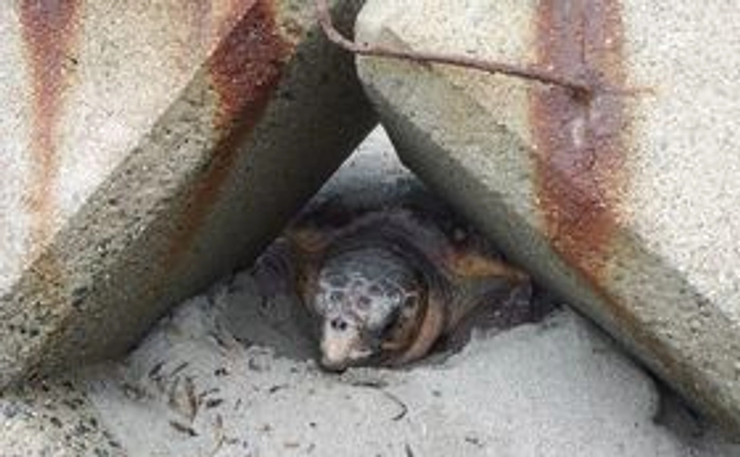 心を込めたお礼のメッセージ