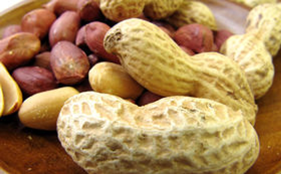 千葉県大網白里産「殻付き落花生」をお届けします!