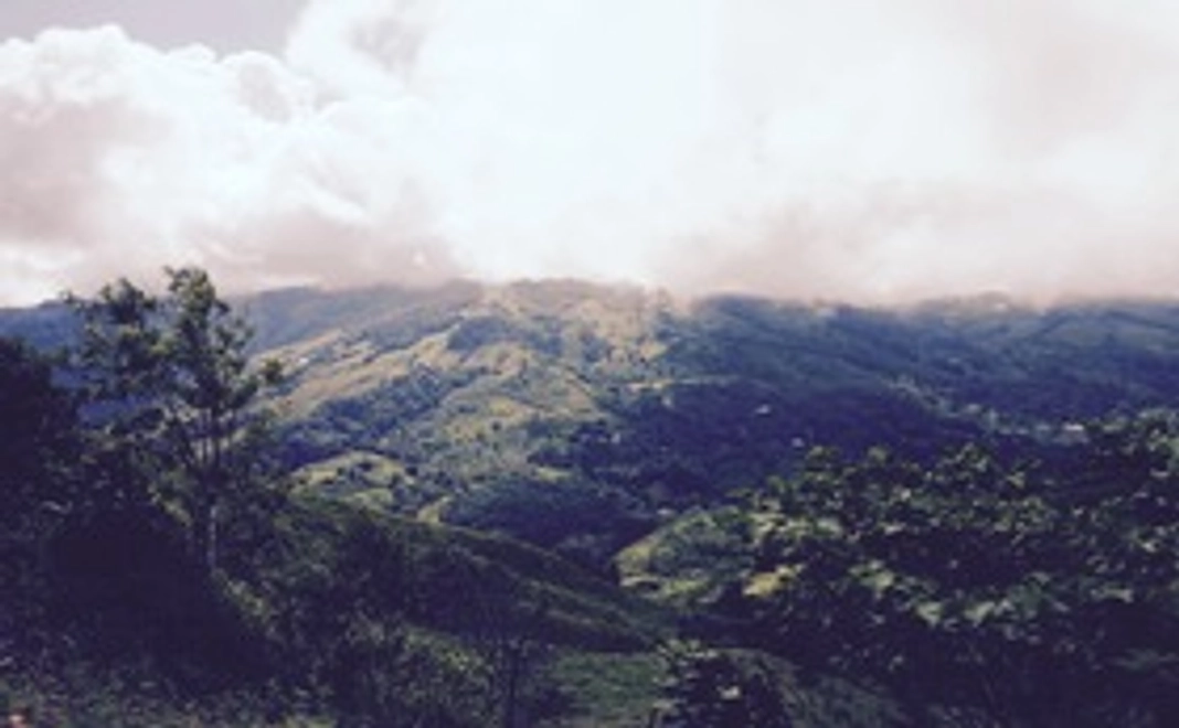 コスタリカのコーヒー農家の方の様子を写真でお届け!