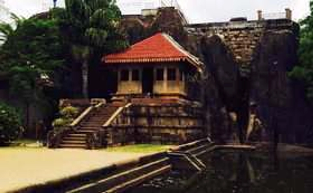 プロジェクト報告会へご招待します