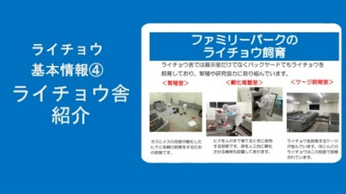 ライチョウ基本情報④ライチョウ舎紹介