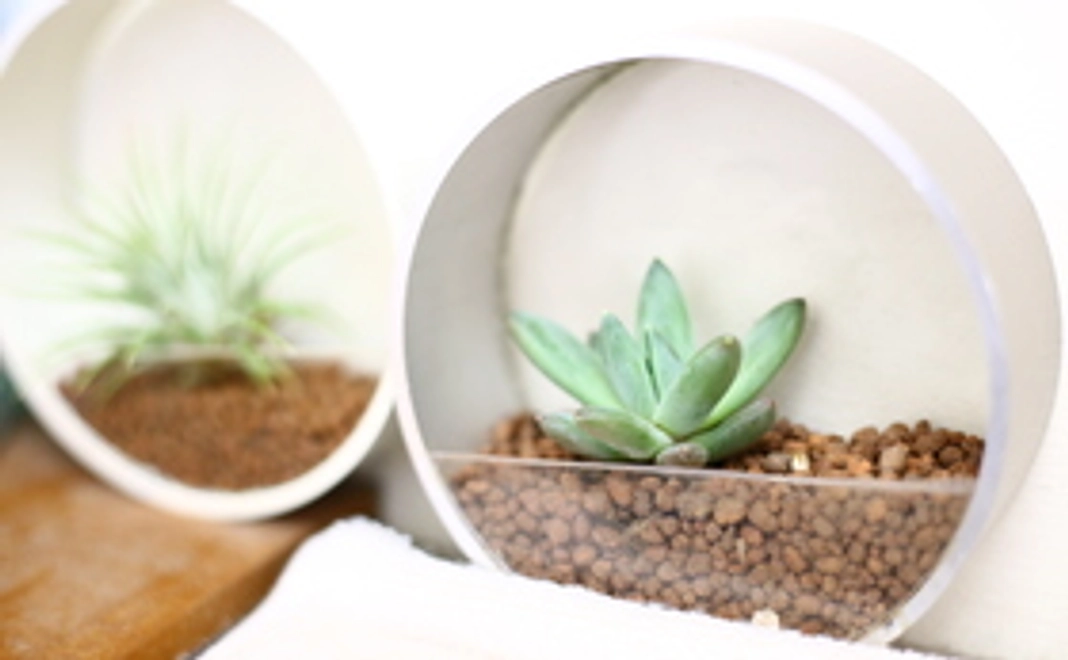 小型テラリウム