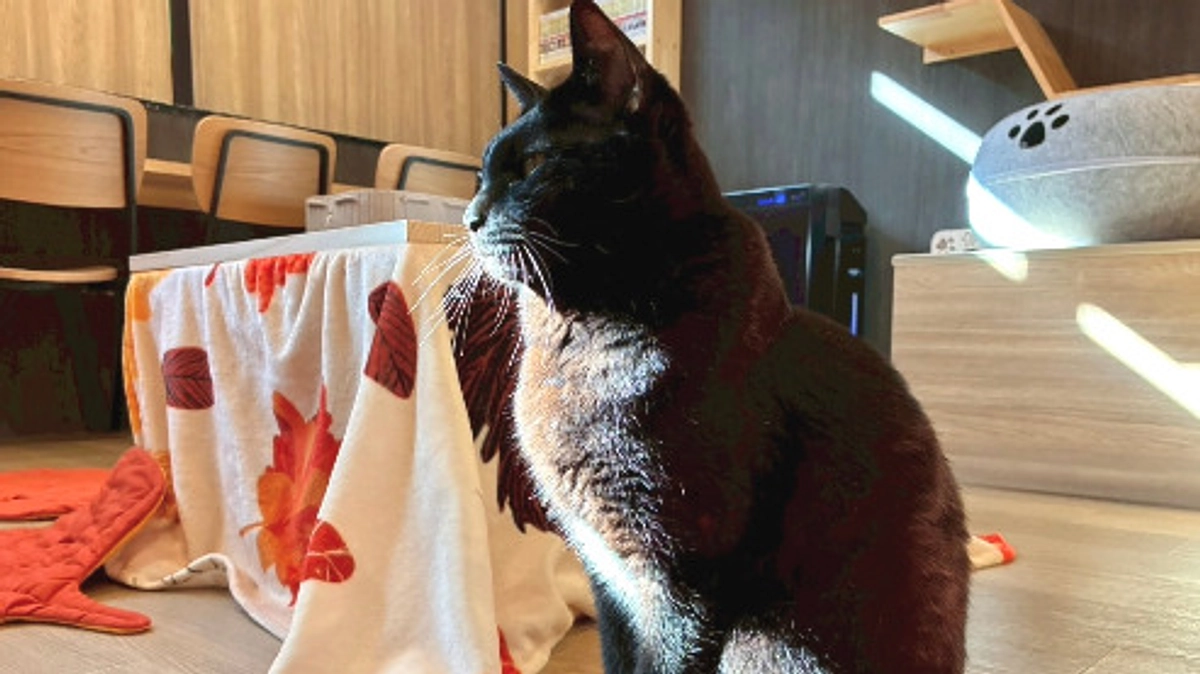 くまくんのお誕生日でした！