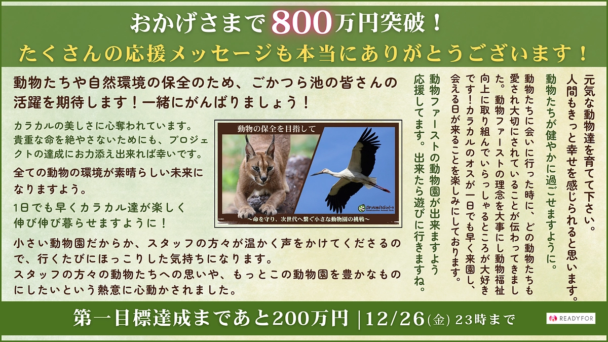 目標金額の80％を達成しました！！第一目標達成まであと200万円！