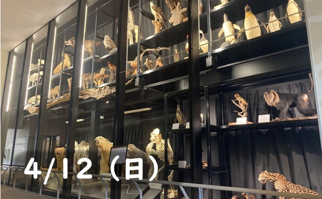 【4/12(日)】標本庫ツアー