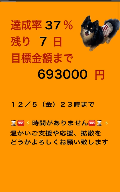 活動報告（インスタ転載）