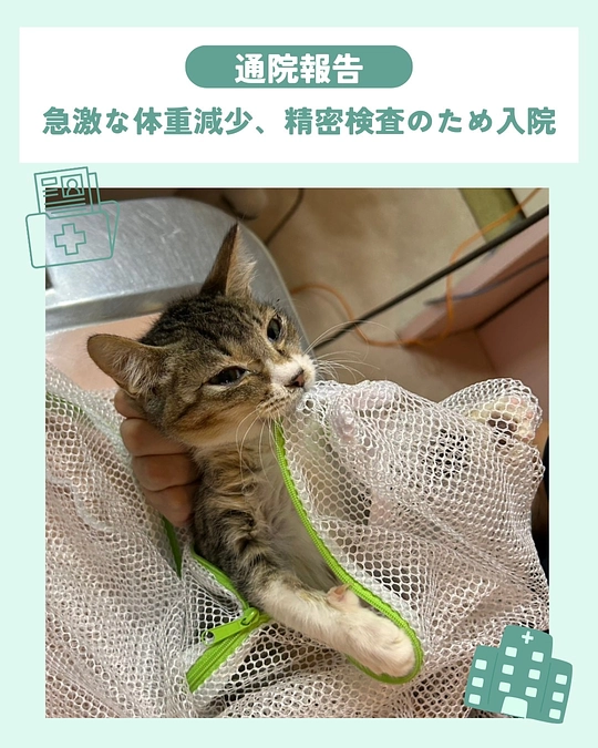 小さな身体で精密検査のため入院…。