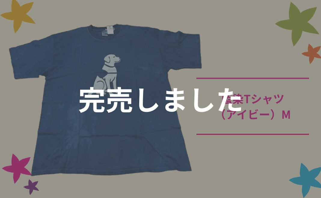 藍染 Tシャツ (アイビー)(M)【税制優遇対象外】