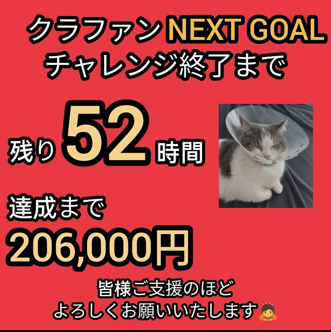 残り50時間‼️