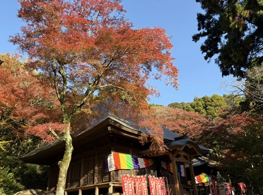 「普門寺もみじ祭り」紅葉見頃です！