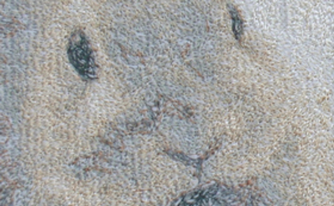 お好きな写真のセピア刺繍(小)