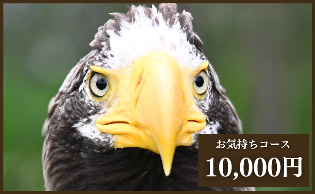 【リターン不要な方向け】お気持ちコース1万円