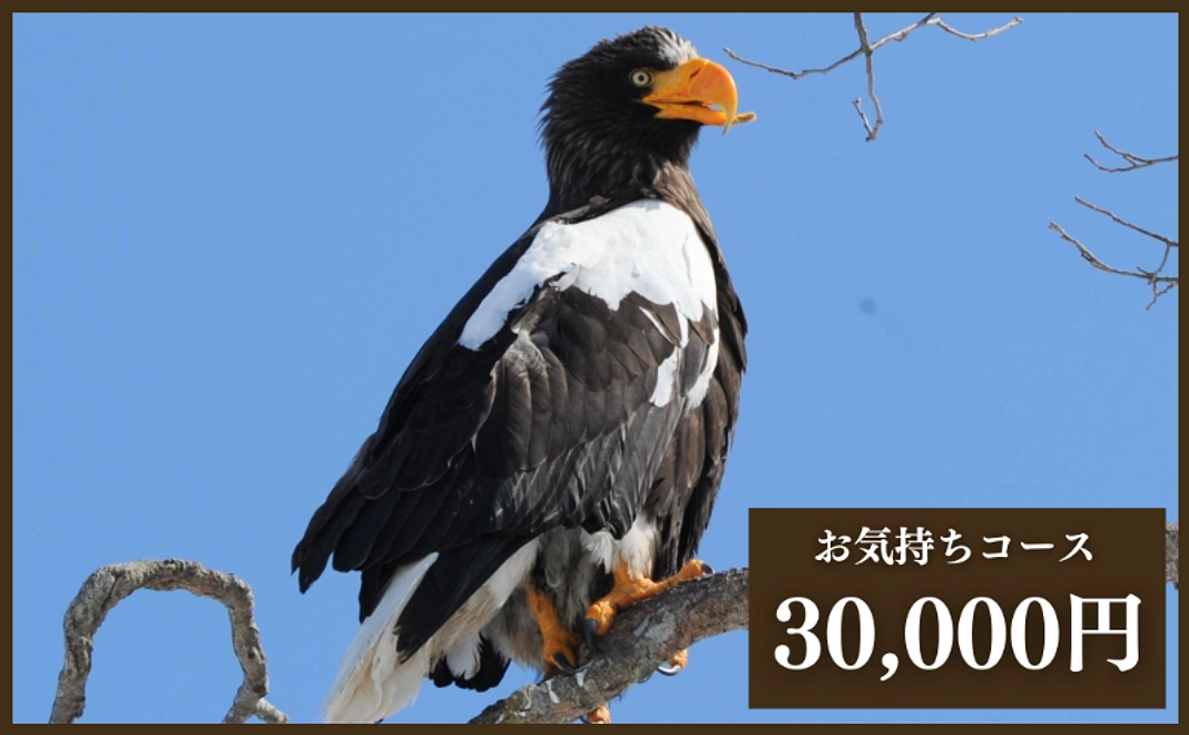 【リターン不要な方向け】お気持ちコース3万円