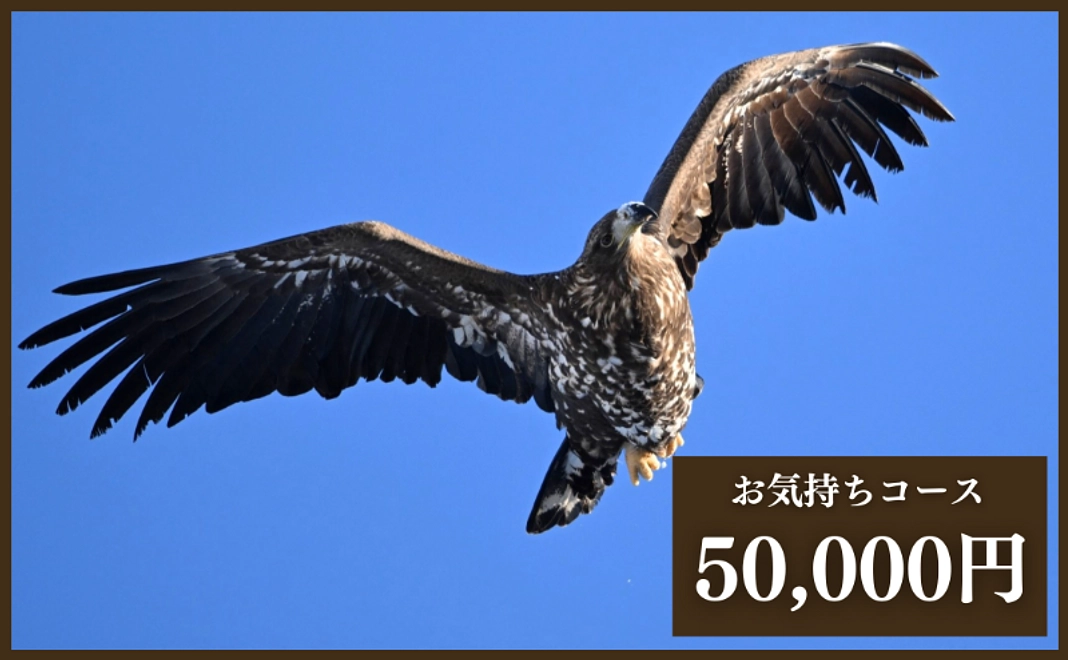 【リターン不要な方向け】お気持ちコース5万円