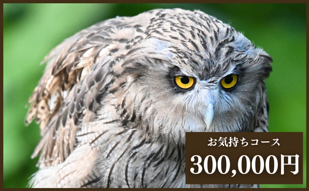 【リターン不要な方向け】お気持ちコース30万円