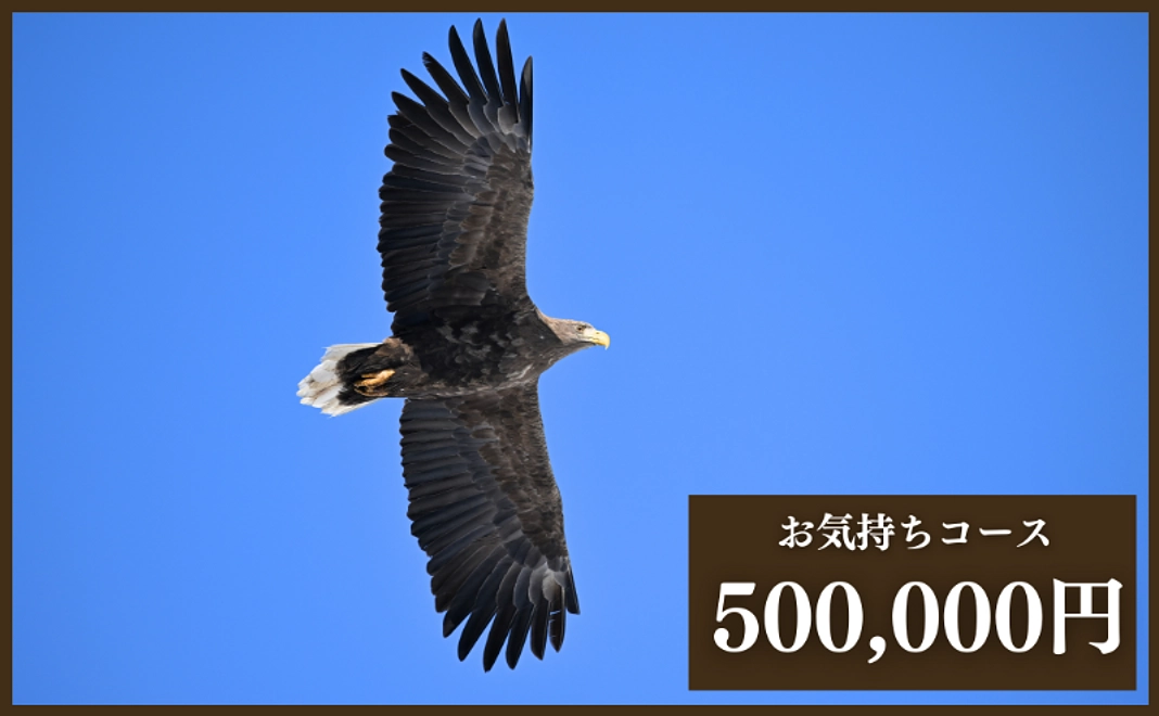 【リターン不要な方向け】お気持ちコース50万円