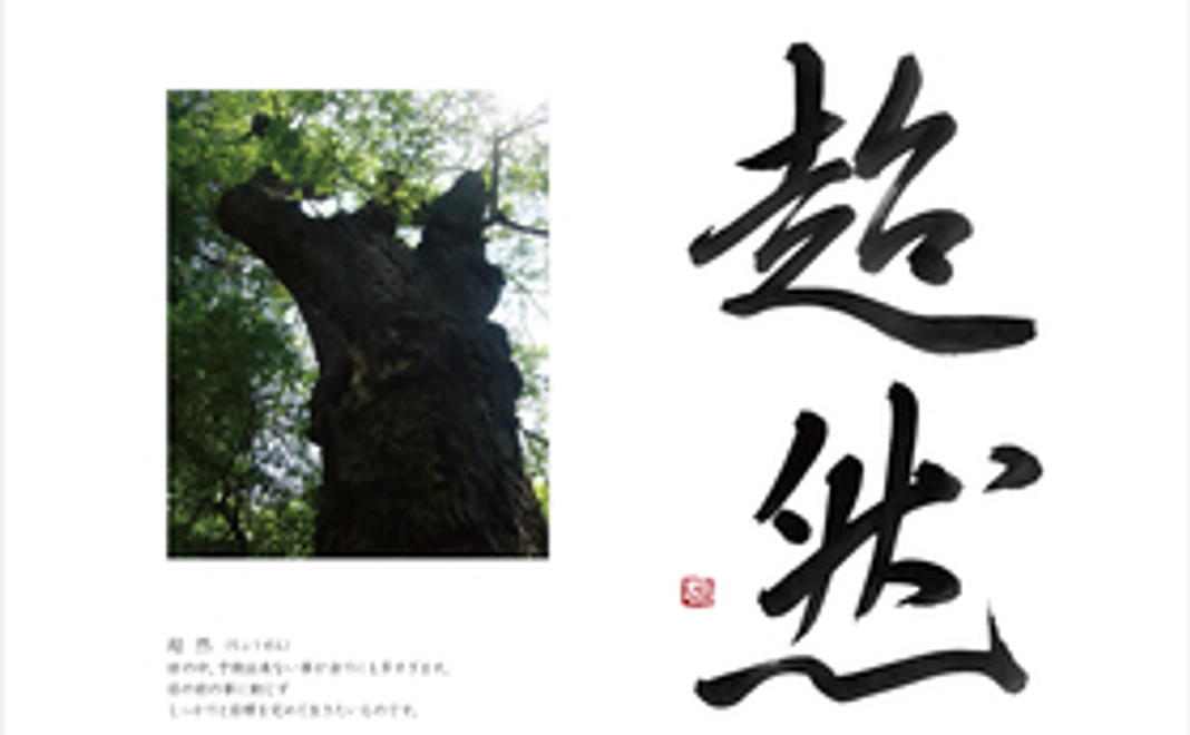 手書きお礼状とオリジナルカード