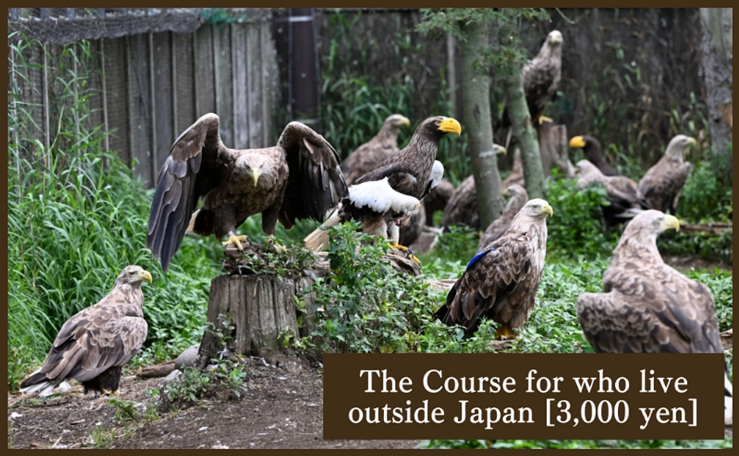 The Course for who live outside Japan [3,000 yen]