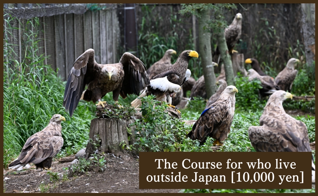 The Course for who live outside Japan [10,000 yen]