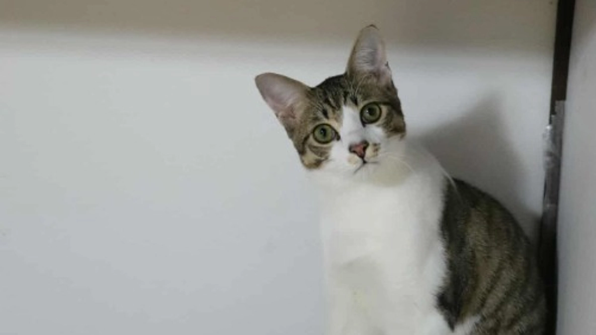 プロジェクト終了しました！