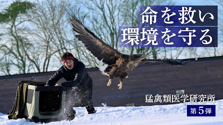 命を救い、環境を守る。みんなで紡ぐ、人と希少猛禽類の共生社会