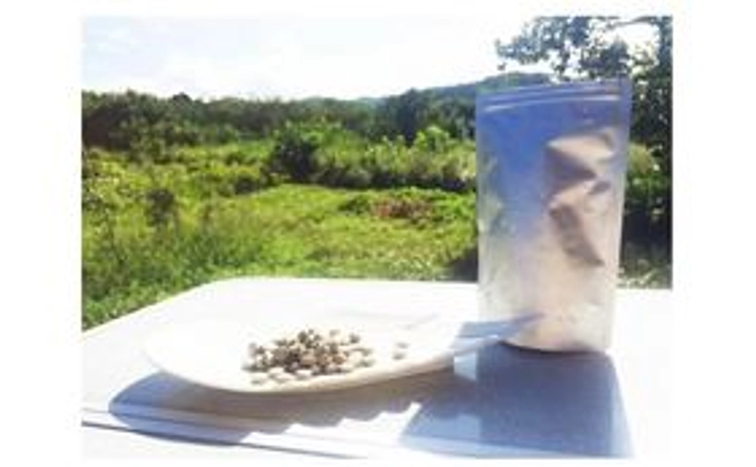 【数量限定10個】ステビアサプリお試しコース