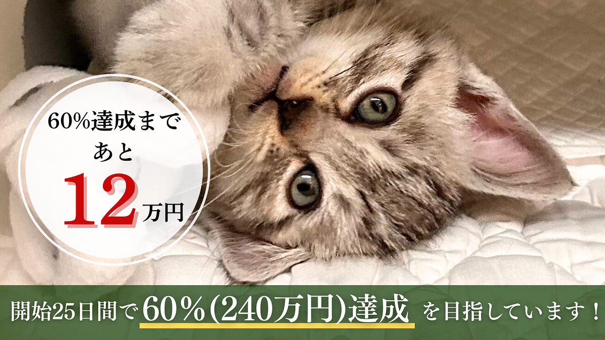 第三関門突破には、あと12万円が不足しています🙇‍♀️💦