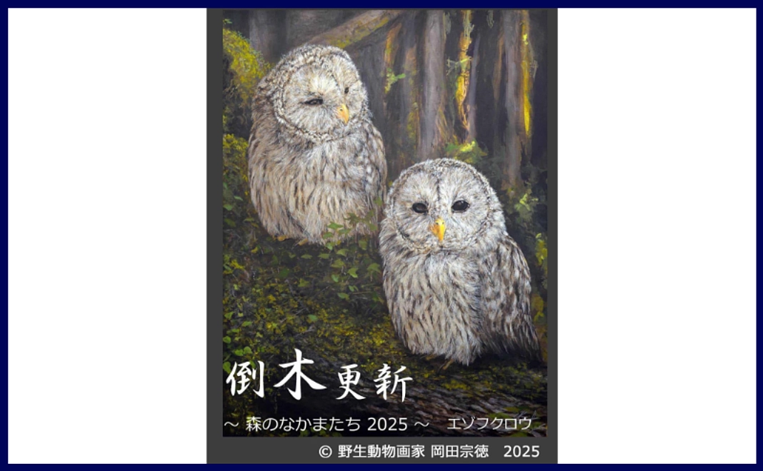 野生動物画家・岡田宗徳『森のなかまたち2025  エゾフクロウ～倒木更新～』ジークレー（原画等寸【クラファン限定】）