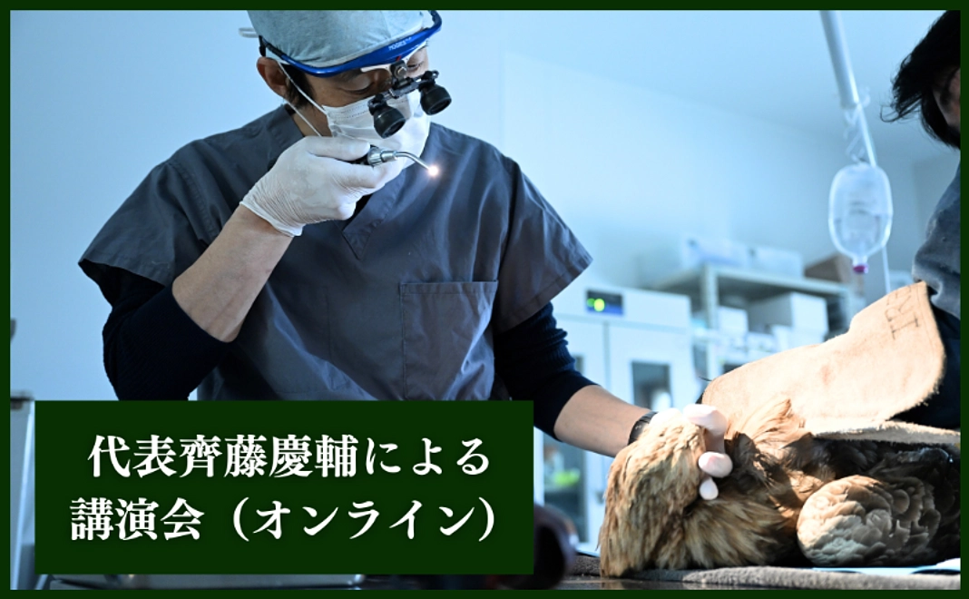 代表齊藤慶輔による講演会（オンライン）
