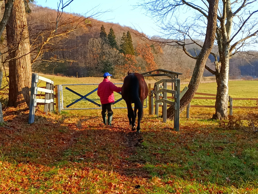 【開催告知】11月30日にXにてスペースをやります！