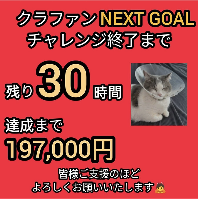 残り30時間‼️奇跡をもう一度