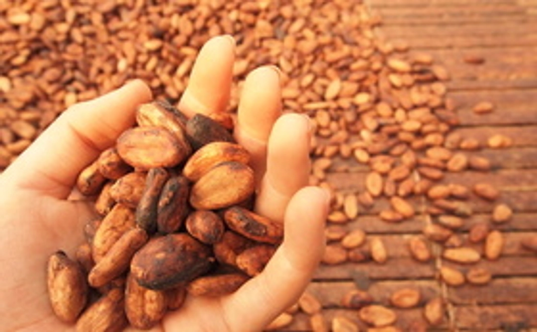 ガーナの子どもを応援したい！あなたへ