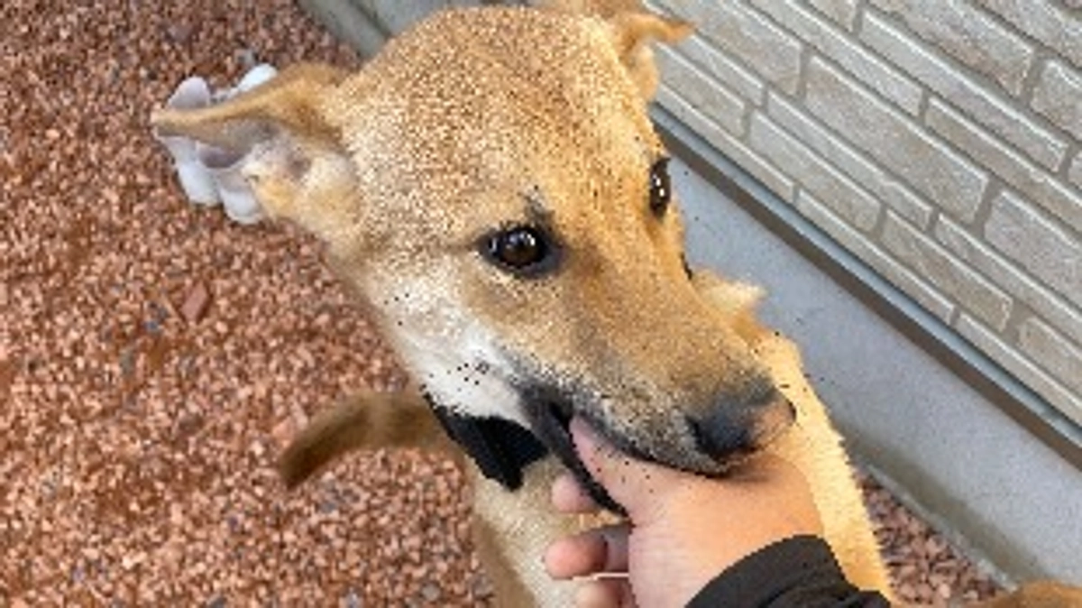 皆さんからのメッセージが…