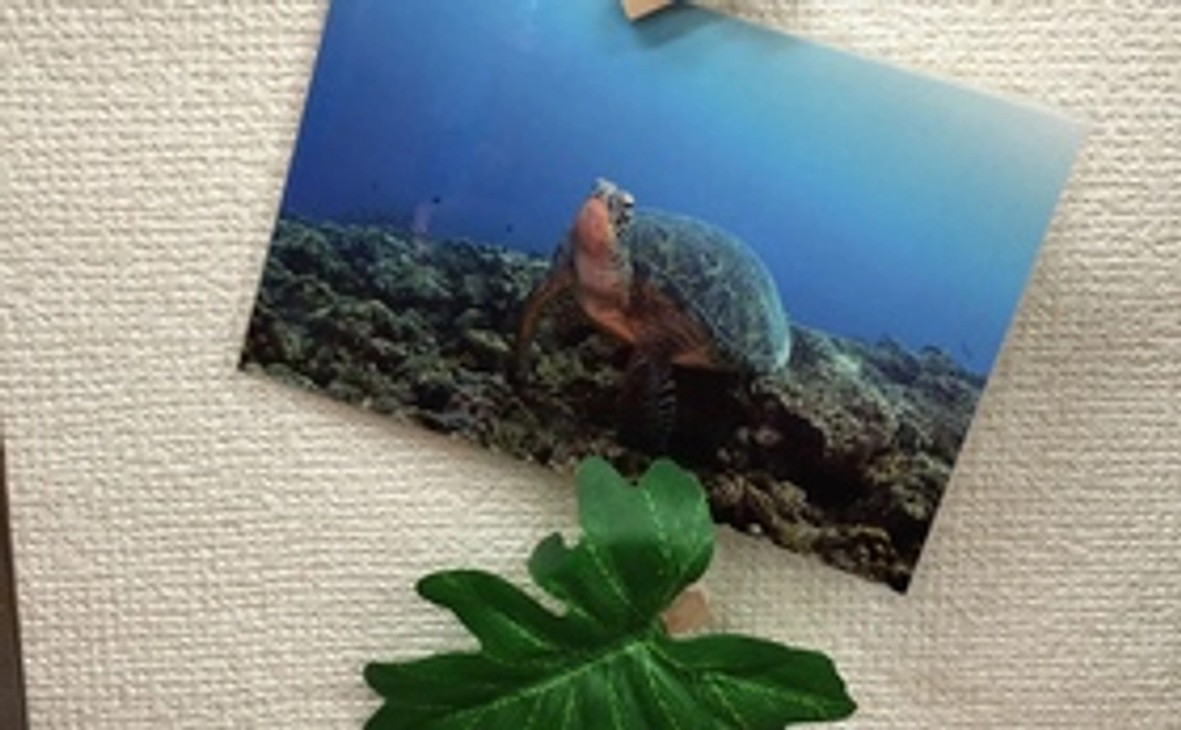 【オリジナルステッカーとポストカード】