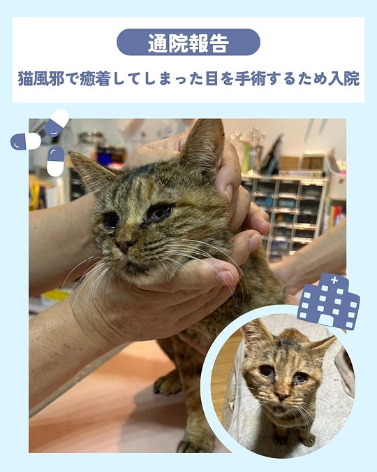 🏥コティの幸せ探しが、ようやくスタートできます！