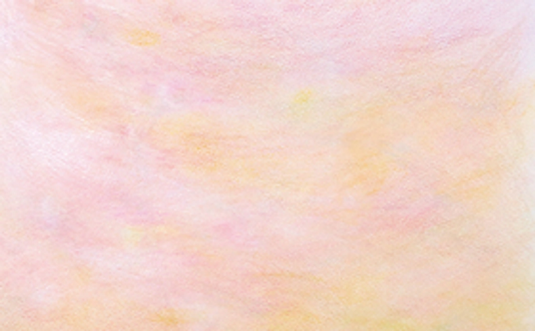 みっけ応援の種