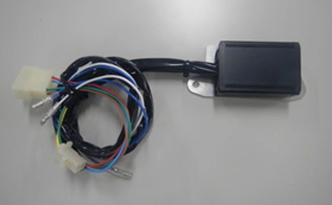 【限定先着10個】CDI、先行受注特価